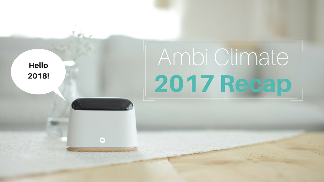 Get the Full Story Of Our Crazy Year in Ambi Climate World